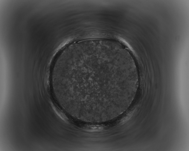 X0000085840443200703231446