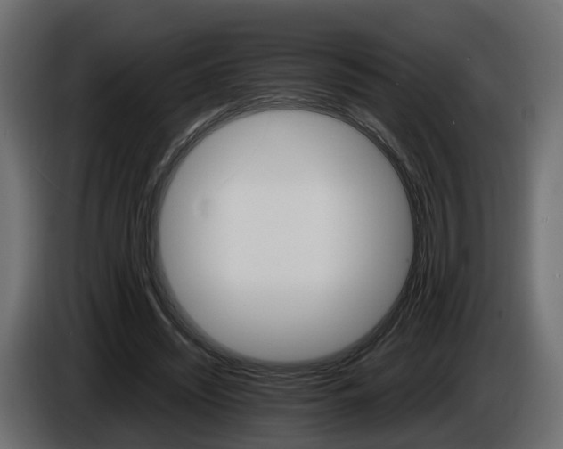 X0000085840444200703231446