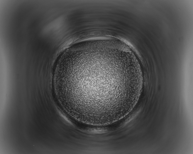 X0000085840445200703231446
