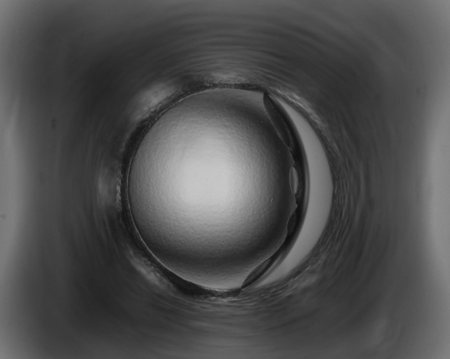 X0000085840446200703231446