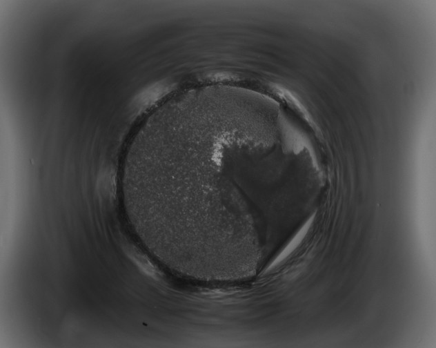 X0000085840447200703231446