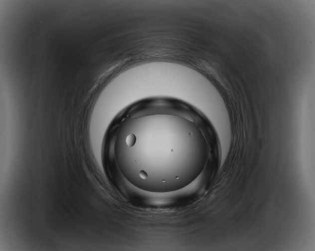 X0000085840448200703231446
