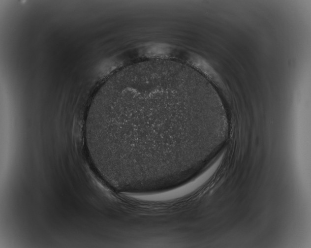 X0000085840449200703231446