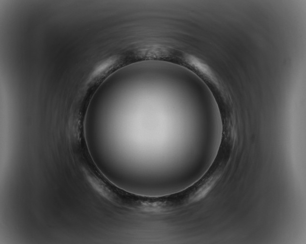 X0000085840450200703231446