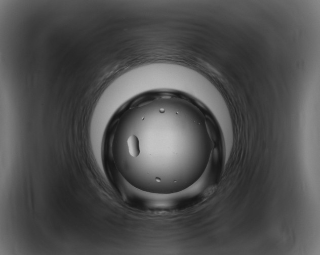X0000085840452200703231446