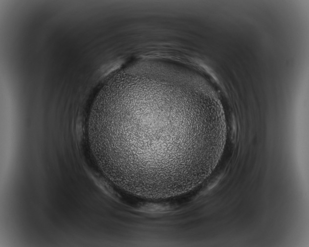 X0000085840455200703231446