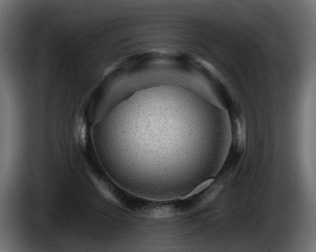 X0000085840456200703231446