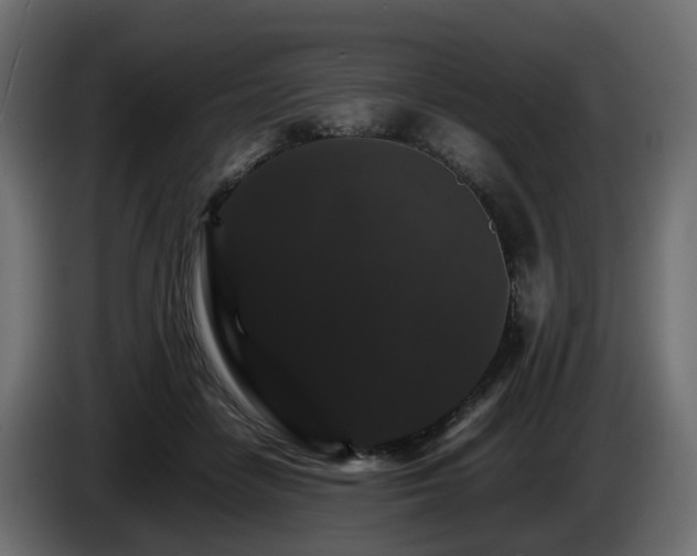 X0000085840458200703231446