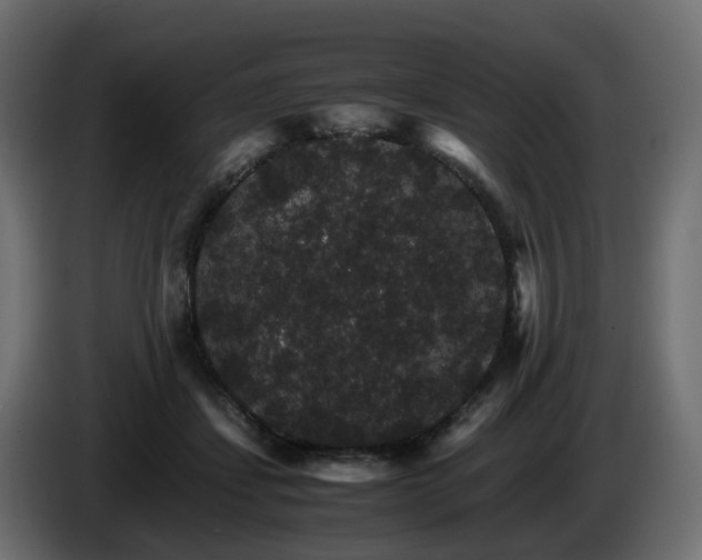 X0000085840459200703231446
