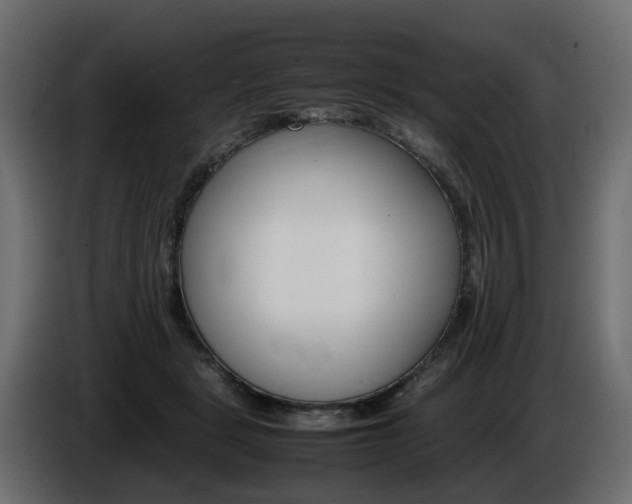 X0000085840461200703231446