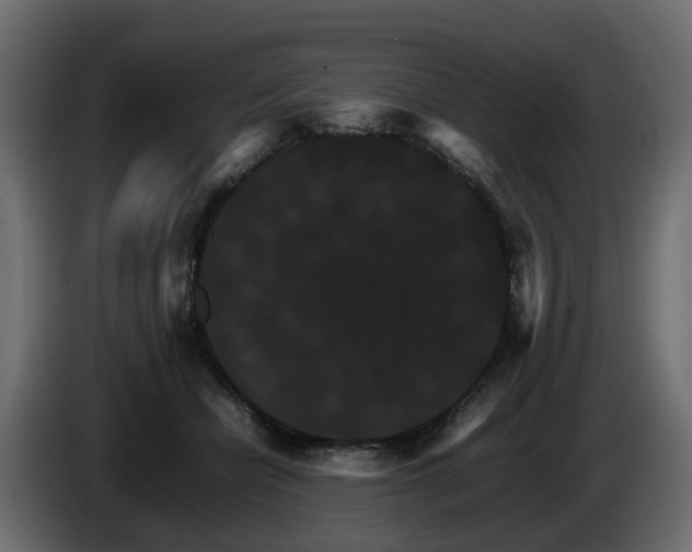 X0000085840462200703231446