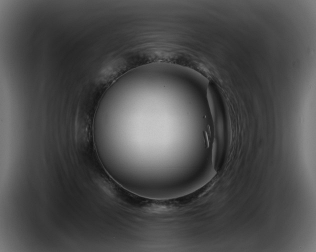 X0000085840464200703231446