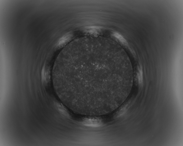 X0000085840466200703231446