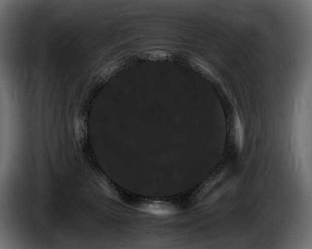 X0000085840467200703231446