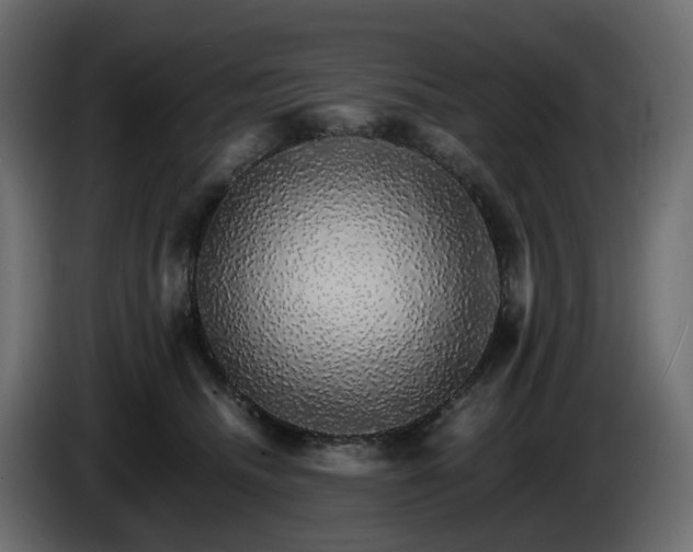 X0000085840468200703231446