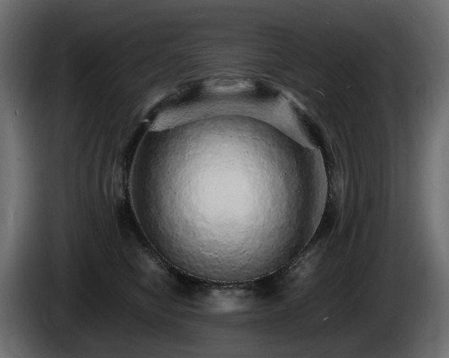 X0000085840470200703231446