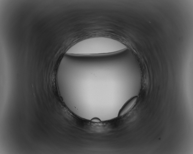 X0000085840473200703231446