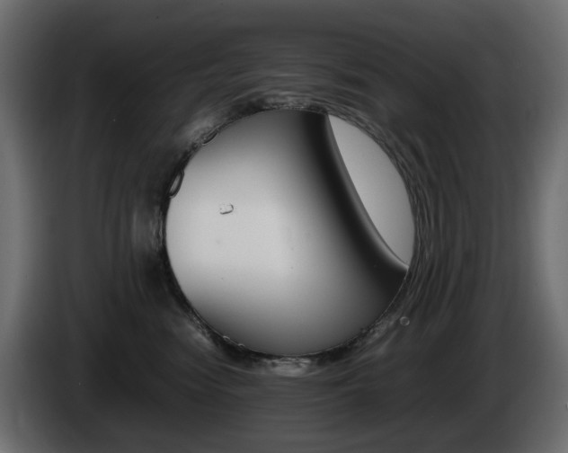 X0000085840474200703231446