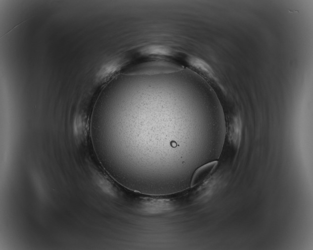 X0000085840476200703231446