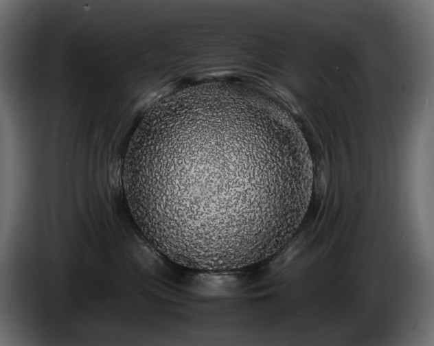 X0000085840477200703231446