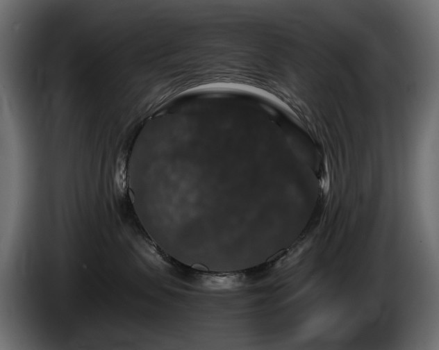 X0000085840479200703231446