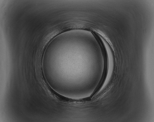 X0000085840481200703231446