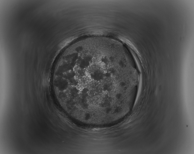 X0000085840483200703231446