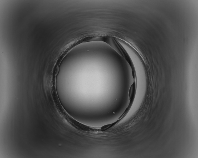 X0000085840485200703231446