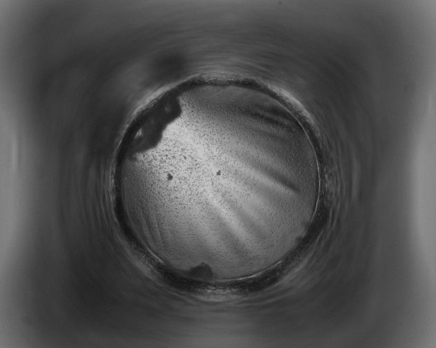 X0000085840487200703231446