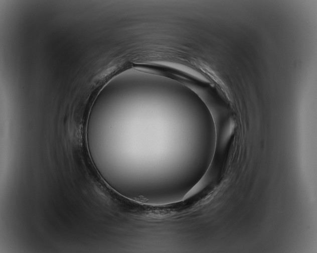X0000085840489200703231446