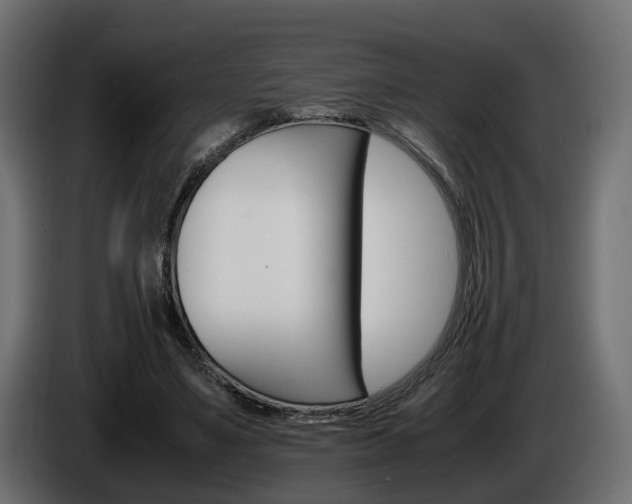 X0000085840491200703231446