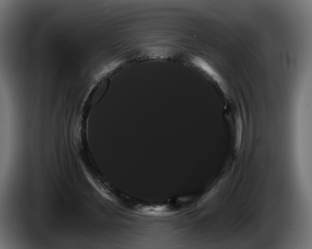 X0000085840492200703231446