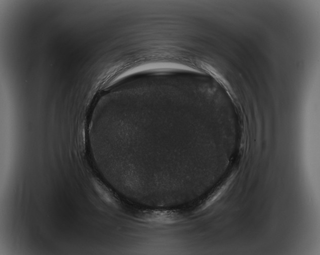 X0000085840493200703231446