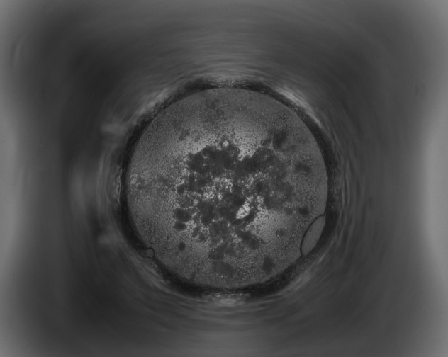 X0000085840495200703231446
