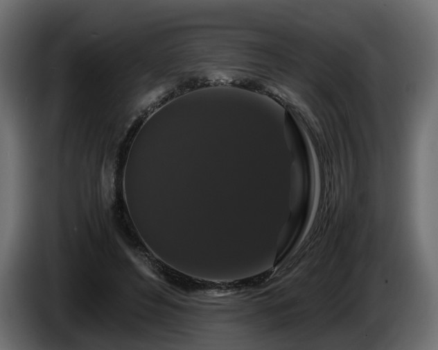 X0000085840496200703231446