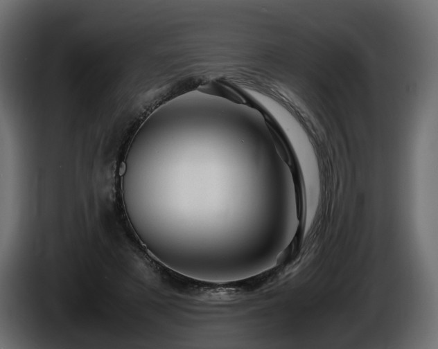 X0000085840497200703231446