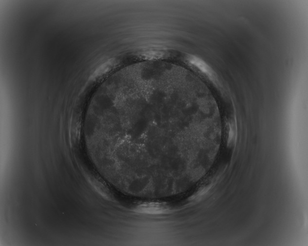 X0000085840499200703231446