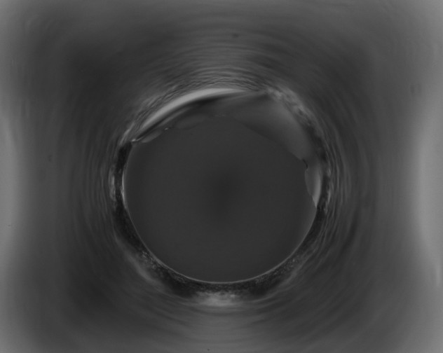 X0000085840500200703231446