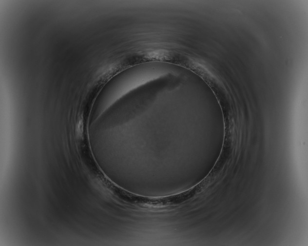 X0000085840502200703231445