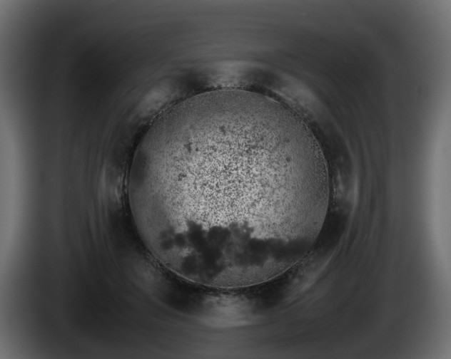 X0000085840503200703231445