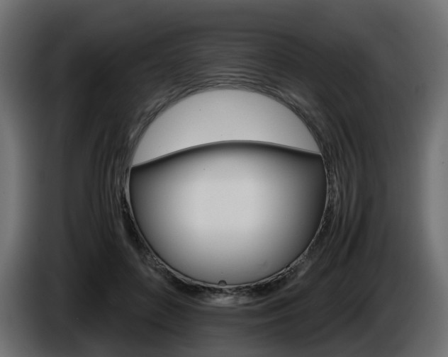 X0000085840504200703231445