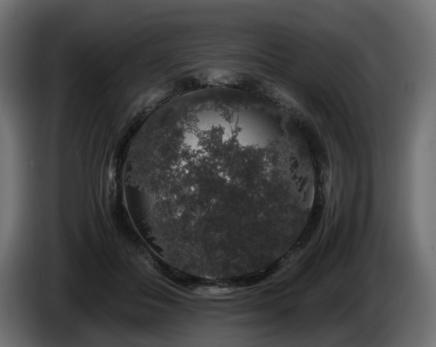 X0000085840506200703231445