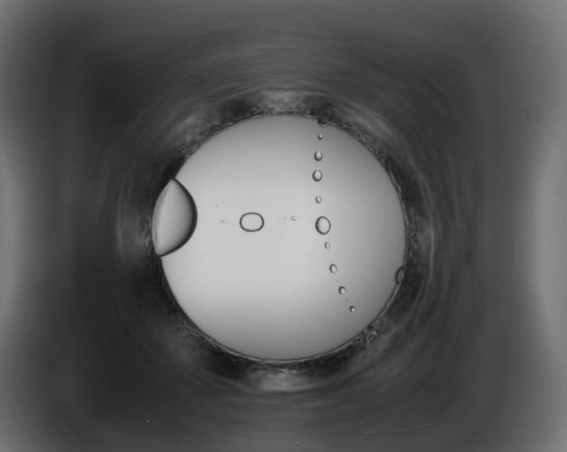 X0000085840507200703231445