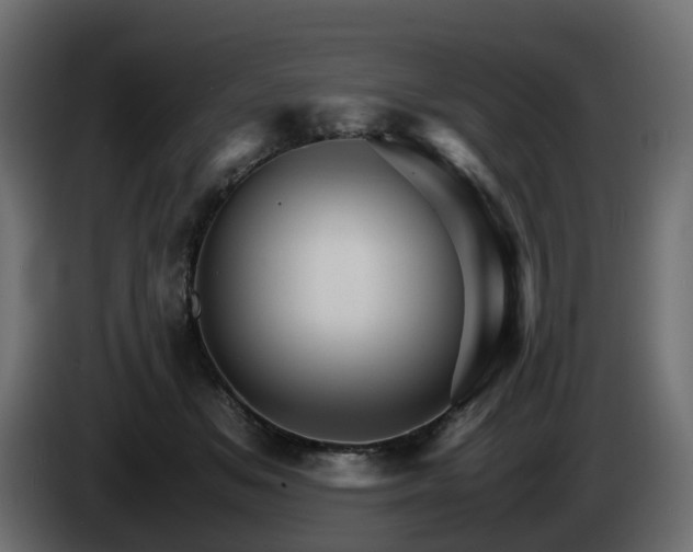 X0000085840509200703231445