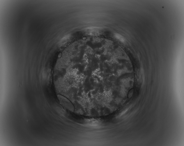 X0000085840511200703231445