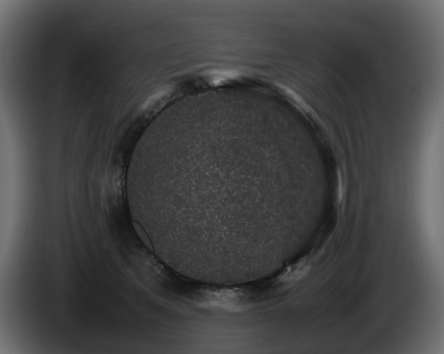 X0000085840513200703231445