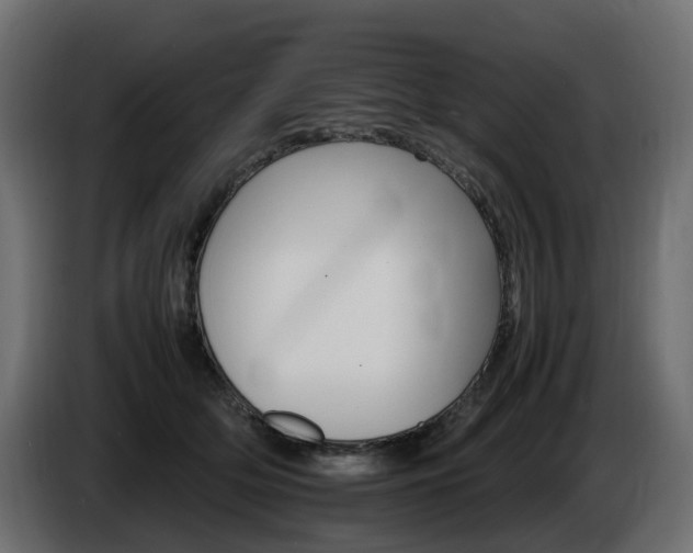 X0000085840514200703231445