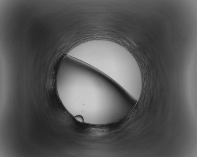 X0000085840515200703231445