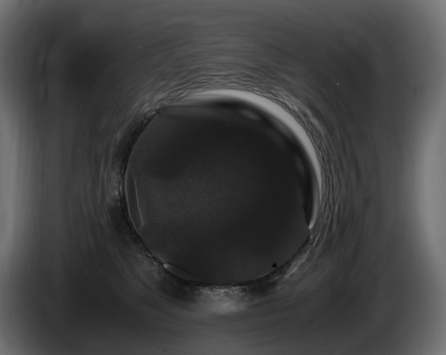 X0000085840517200703231445