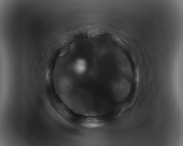 X0000085840519200703231445